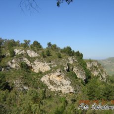DSCN1196 (Copia)
